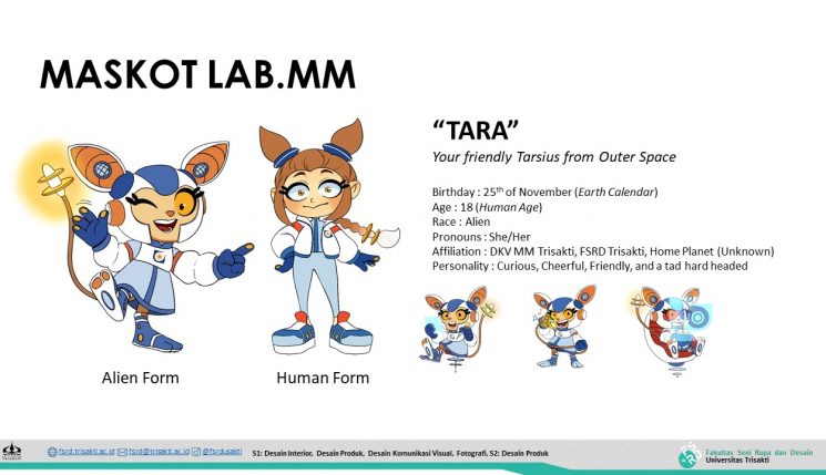 LAB MM 6